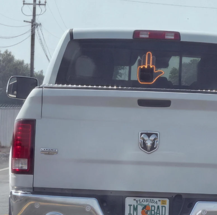 BirdFlippin™ – Led Hand Sign
